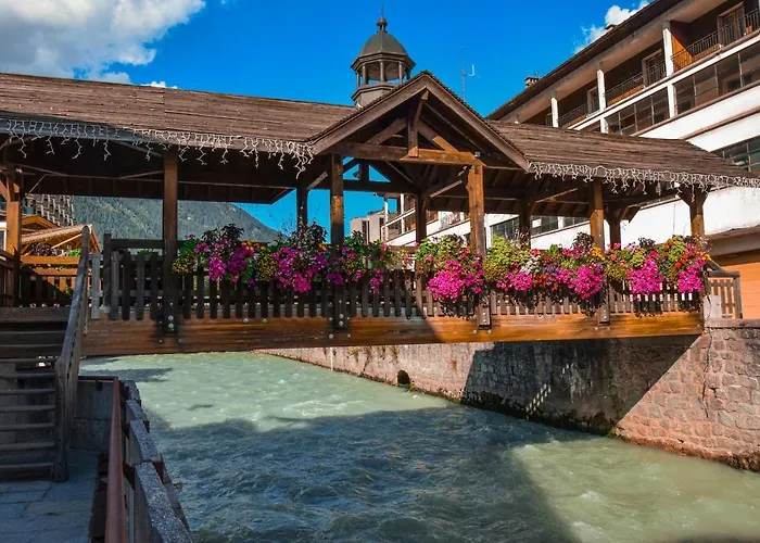 Sud - Balme 109 - Happy * שאמוני